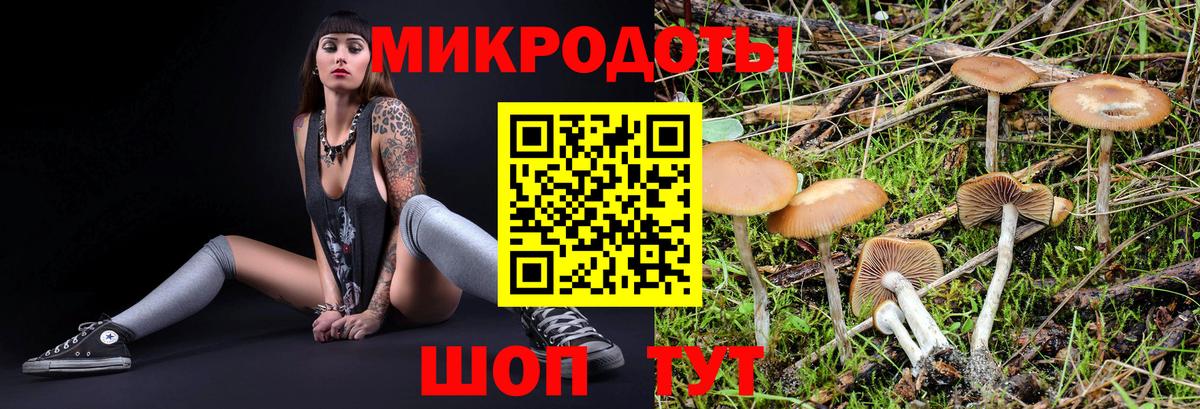 Воронеж  Псилоцибиновые грибы Cubensis  Вход с VPN 